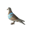 Nuclear Pigeon