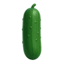 Cucumber