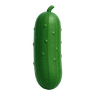 Cucumber