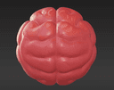 Brain Ball